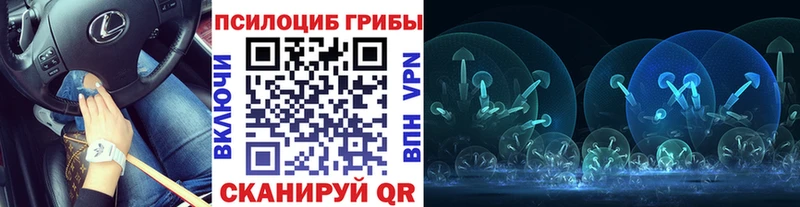 как найти   Дальнегорск  Псилоцибиновые грибы GOLDEN TEACHER 